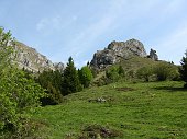 08-Appena fuori dal bosco, verso la Malga Campo